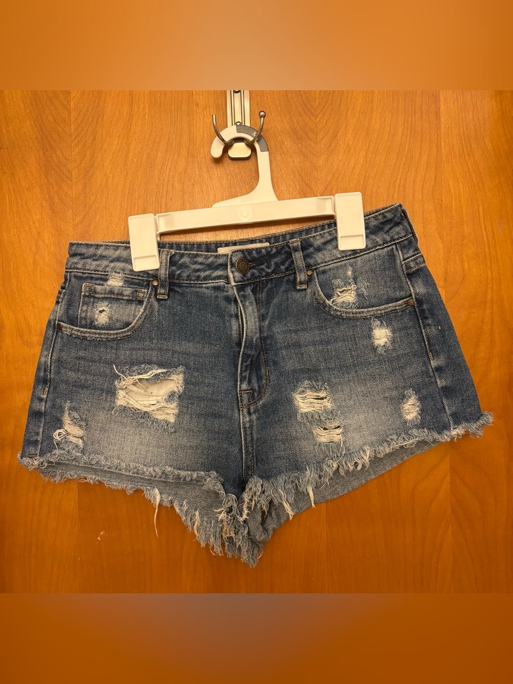 PacSun Festival Shorts